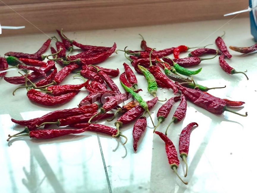 고추,홍고추,말린고추,빨간색,음식,요리,식재료,채소,야채,food,cook,meal,dishes,빨간고추