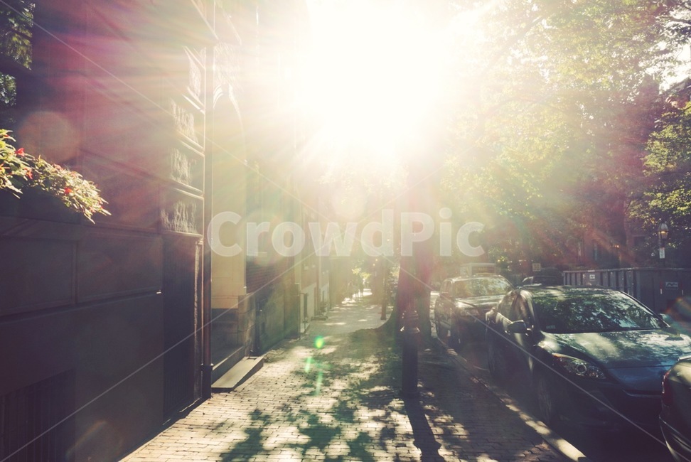 해,거리,감성,외국,오후,sun,street,mood,afternoon