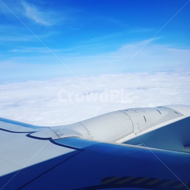 비행기,구름,항공,cloud,airplane