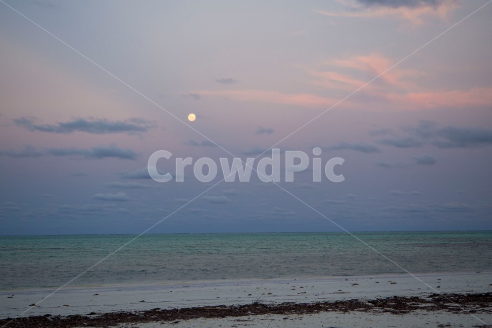 탄자니아,tanzania,zanzibar,잔지바르,jambiani,잠비아니,바다,저녁바다,ocean,sea,하늘,sky,달,moon,노을,해질녘,아프리카,africa,자연,풍경,nature,landscape,해변,바다,beach,sea,색깔,색상,색채,색감,color sense,color sensitivity,feeling of color,outdoors,옥외