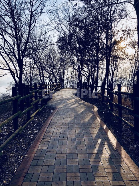 하늘공원,야외,하늘,해질녘,sky,park,sunset,자연,풍경,nature,landscape,walkway,보도,path,통로,sidewalk,pavement,포장,flagstone,판석