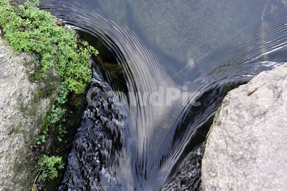 물흐름,징검다리,청계천,물살,water,물,nature,자연,outdoors,옥외,stream,creek,작은만,이끼풀,식물,자연,plants,nature