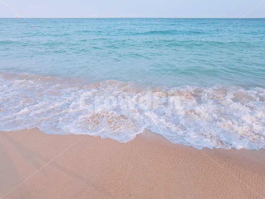 바다,파도,모래,파도풀,nature,자연,water,물,sea,해변,바다,beach,sea