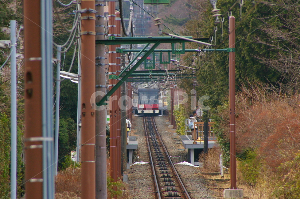 일본,도쿄,동경,철길,풍경,기차,기차안,창밖풍경,railway,철도,transportation,교통,rail,레일,traintrack,기찻길,감성사진