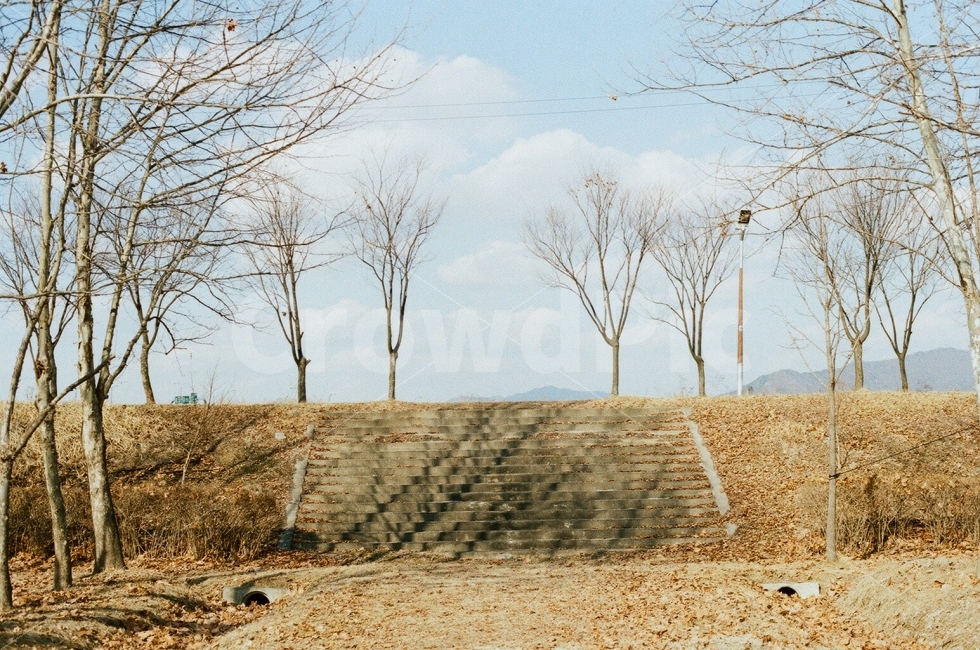 겨울,계단,공원,산책,하늘,구름,나무,필름사진,필름카메라,감성사진,감동,자연,그림자,아날로그,자연,풍경,nature,landscape,겨울,계절,winter,season,ground,바닥,grassland,목초지,outdoors,옥외,field,들
