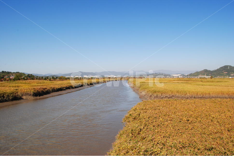 갈대,하늘,가을풍경,산,sky,순천,순천만습지,물,가을,계절,fall,autumn,season,ditch,도랑
