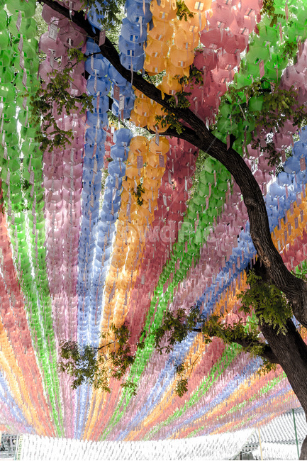 연등,전통,문화,패턴,문양,사찰,무늬,느티나무,등불,종교,신앙,religion,belief,faith,축제,행사,festival,carnival,event,기념일,축하,anniversary,congratulation,celebrate,celebration