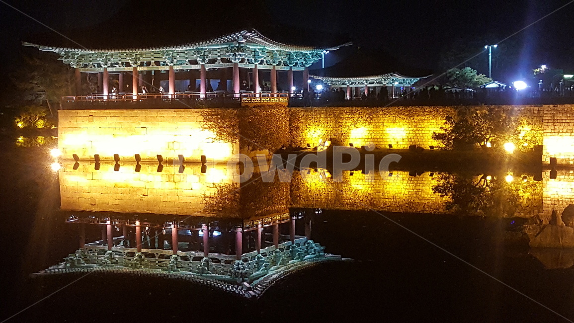 야경,경주,힐링,이쁜곳,성,야경,밤,풍경,nightscape,night,landscape,한국전통,한국문화,korean traditional,korean culture,랜드마크,landmark,tourist attraction,한국랜드마크,한국관광지,한국명소,korea landmark,korea tourist attraction,건축물,건물외관,exterior,building,structure,architecture,construction,건물