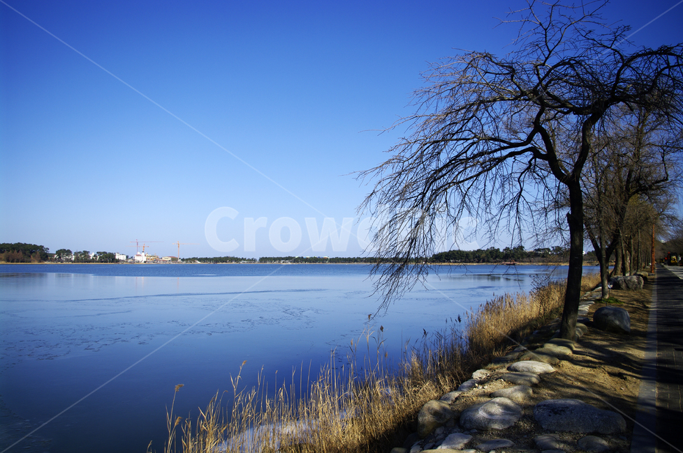 나무,호수,겨울,풍경,하늘,color,겨울,계절,winter,season,자연,풍경,nature,landscape,water,물,outdoors,옥외,reservoir,저수지