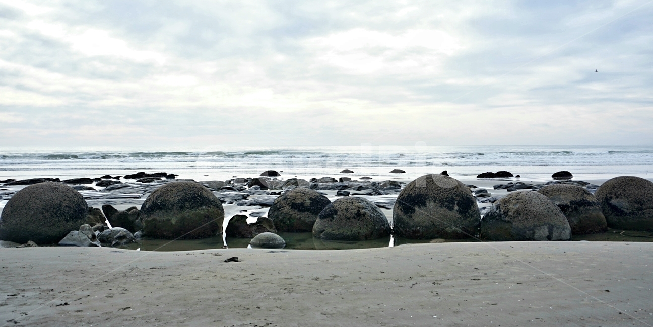 water,바다,물,nature,자연,shoreline,모에라키,moeraki,뉴질랜드,newzealand,자연,풍경,nature,landscape