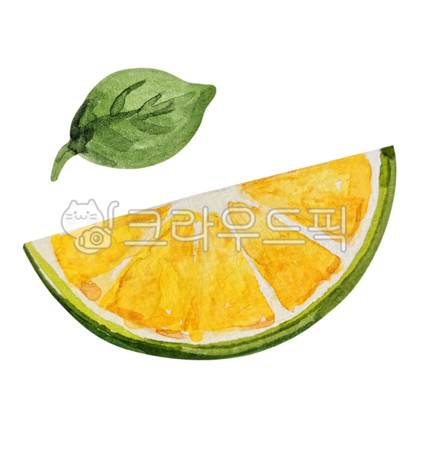 citrusfruit, 감귤류과일, food, fruit, grapefruit, 사진,이미지,일러스트,캘리그라피 - 예소나봄작가