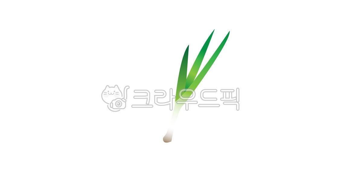 파, 파뿌리, 야채, 음식, vegetable, 사진,이미지,일러스트,캘리그라피 - su pl re작가