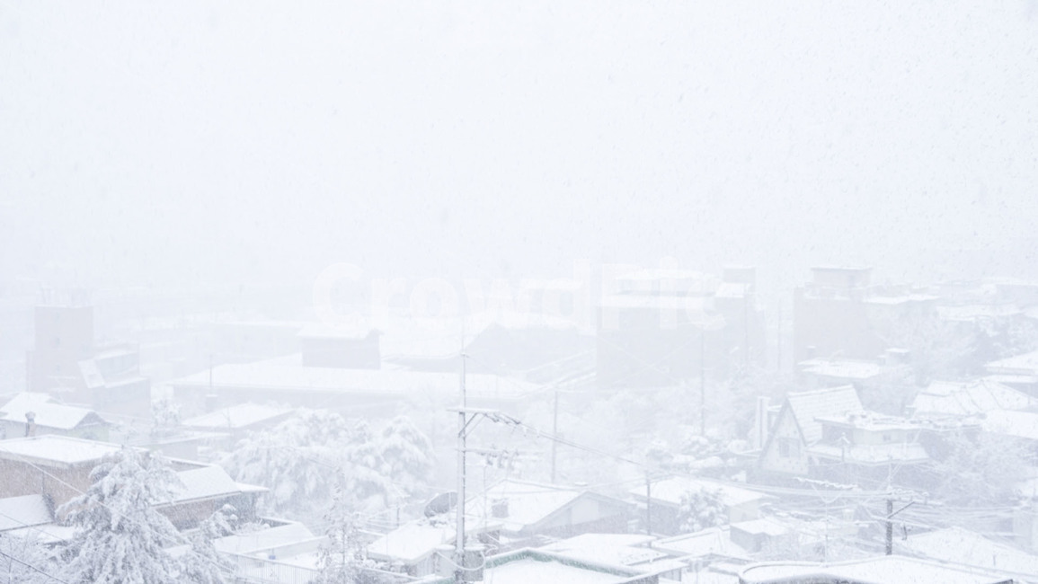 겨울,눈,눈보라,폭풍,자연,snow,winter,storm,nature,koreawinter,blizzard