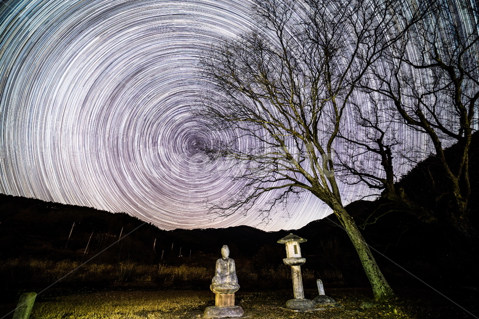 일주운동,별,별궤적,star,별밤