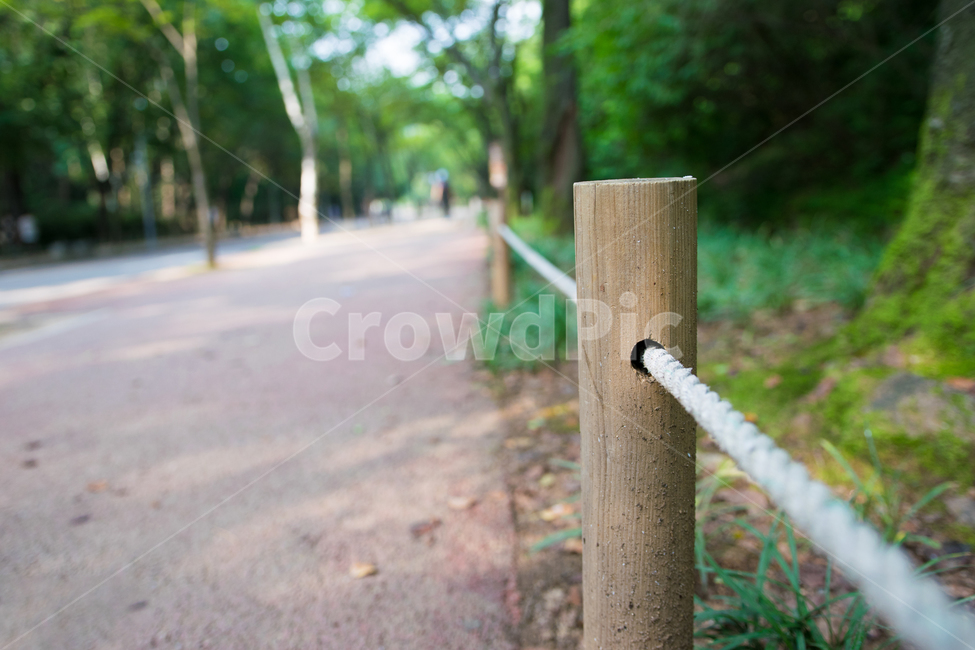 말뚝,이어짐,커넥트,연결,자연,인천대공원,맑음,도로,자연,풍경,nature,landscape