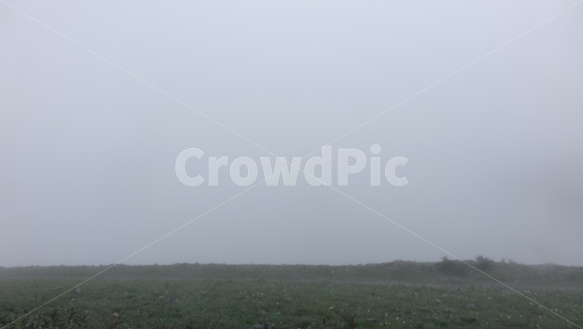 fog,안개,nature,자연,weather,날씨,outdoors,옥외,grey