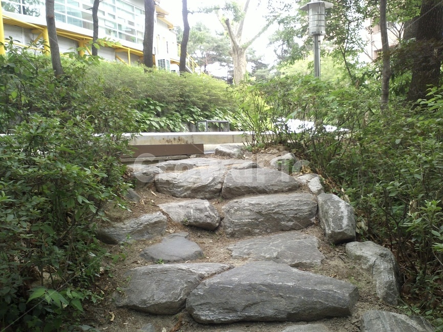 계단,통로,path,식물,나무