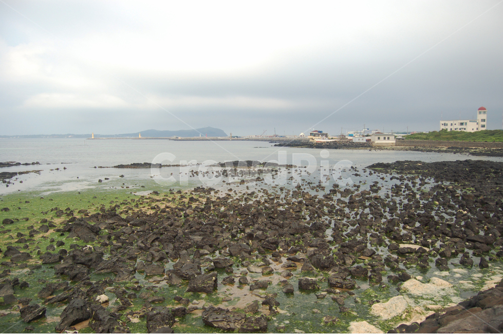 제주,제주도,섬,jeju,바다,해변,여름,자연,풍경,nature,landscape,한국자연풍경,한국자연경관,korea nature landscape,해변,바다,beach,sea,제주도,jeju,jeju island,ground,바닥