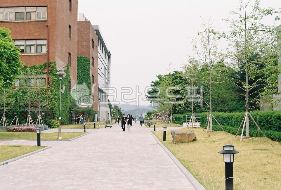 정원,길,많은사람,path,자연,넓은보도