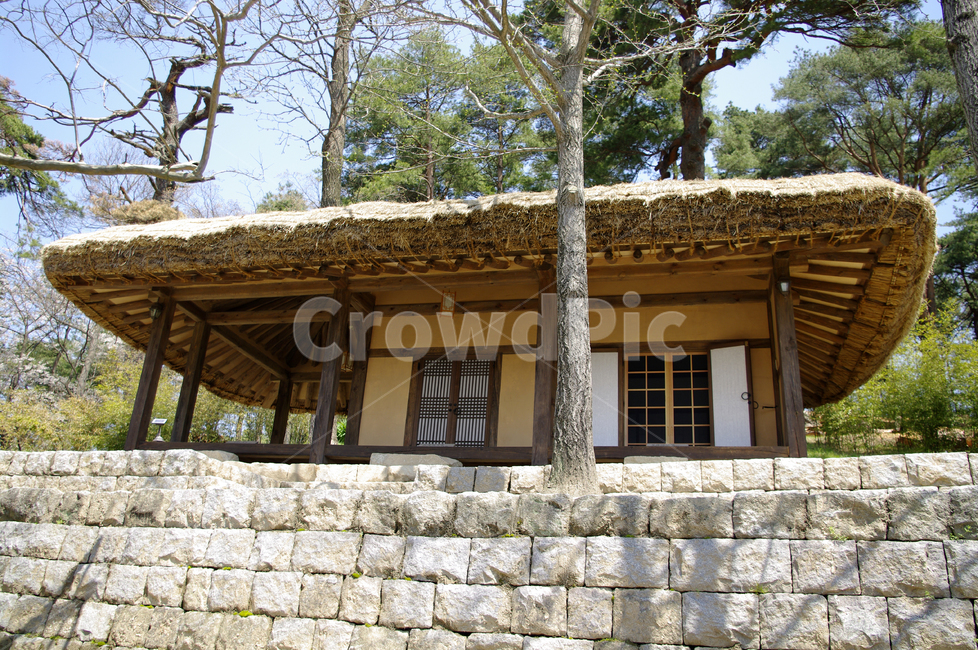 초가집,전통가옥,건축,나무,식물,한국전통,한국문화,korean traditional,korean culture,건축물,건물외관,exterior,building,structure,architecture,construction