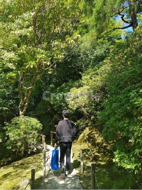 숲,오사카,일본,여행,뒷모습,사람,인물,인간,human,person,여행,휴가,traveling,vacation,trip