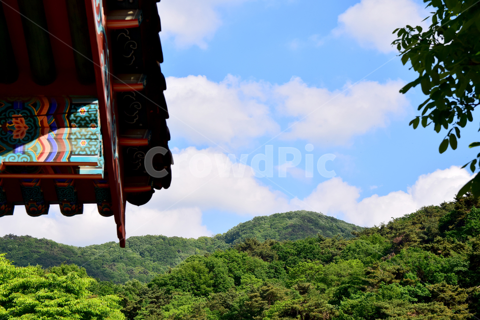 처마,지붕,절,사찰,화려한,roof,temple