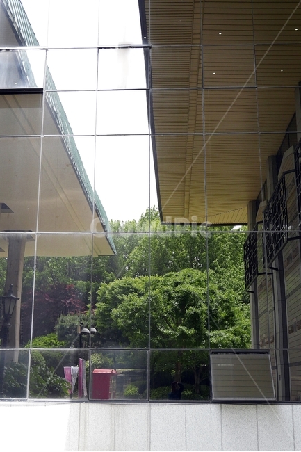 건물,반영,풍경,거울,유리벽,조각,지붕,나무,현대식,도시,초록색,숲,빌딩,창문,의미,생각,반대편,감성,감성적,감성사진,배경,백그라운드,건축물,건물외관,exterior,building,structure,architecture,construction