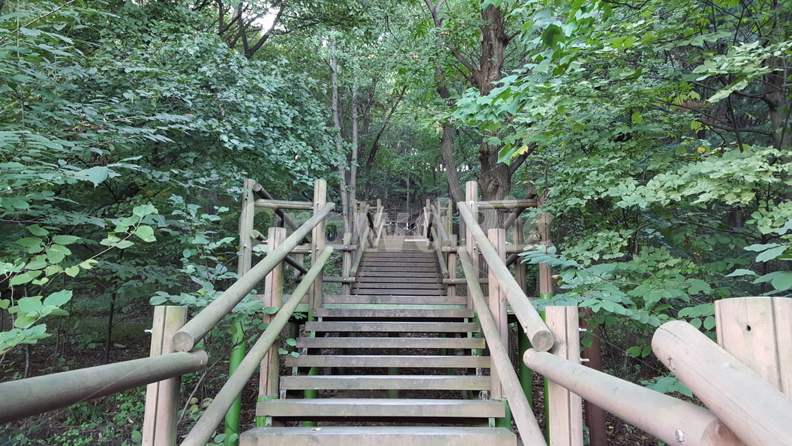 월미도,월미산,숲,등산,계단,나무,wolmido,wolmimountain,forest,hiking,stairs,trees
