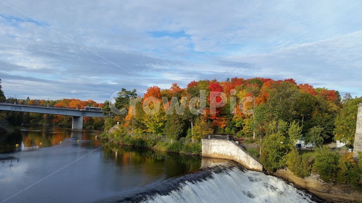 canada,maple,캐나다,단풍,가을,가을,계절,fall,autumn,season,자연,풍경,nature,landscape