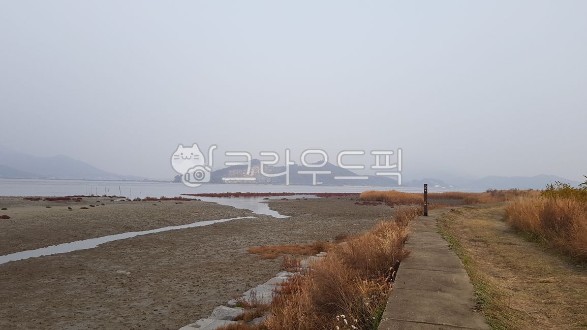 Tongjiri Sacho,headland,halophyte,foreshore,Ganghwa Island