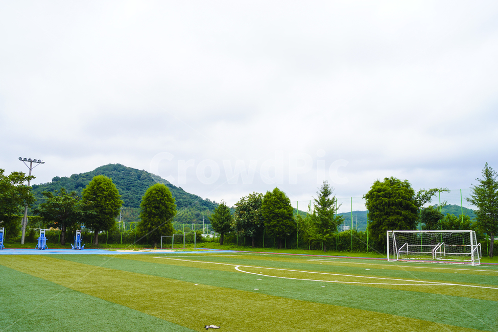 plant,식물,grass,잔디,field,들