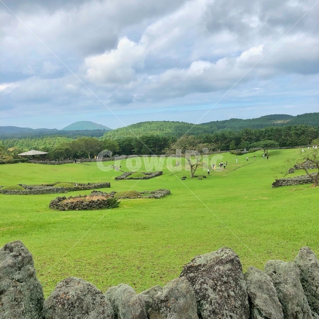 제주도,풍경,야외,초록색,공원,하늘,jejuisland,park,green,sky,outdoor,자연,풍경,nature,landscape