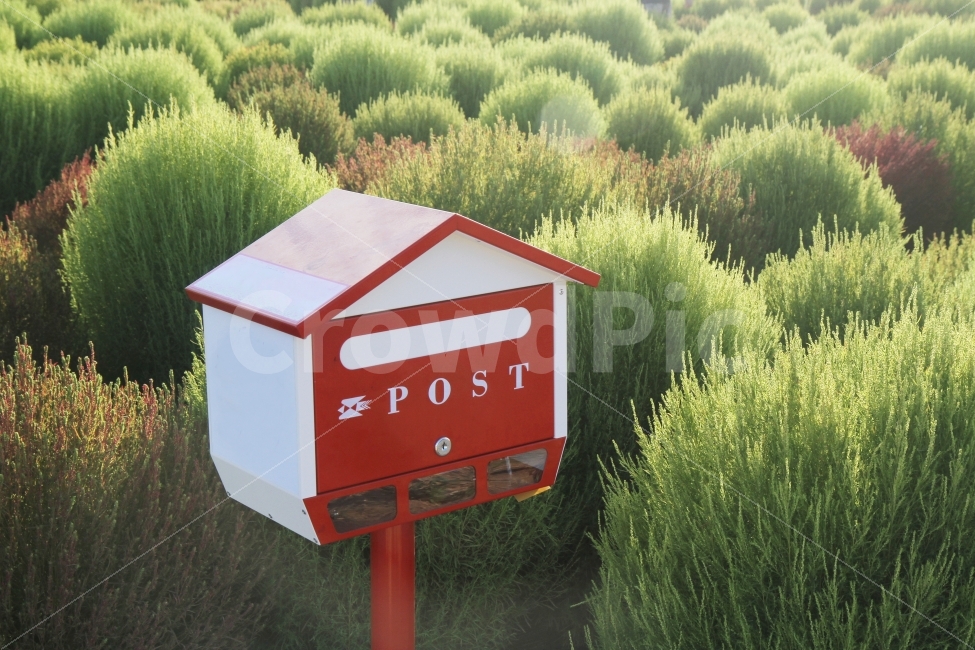 우편함,편지함,나무,편지,post,POST,식물,자연,plants,nature,사물,물건,오브젝트,thing,object,matter