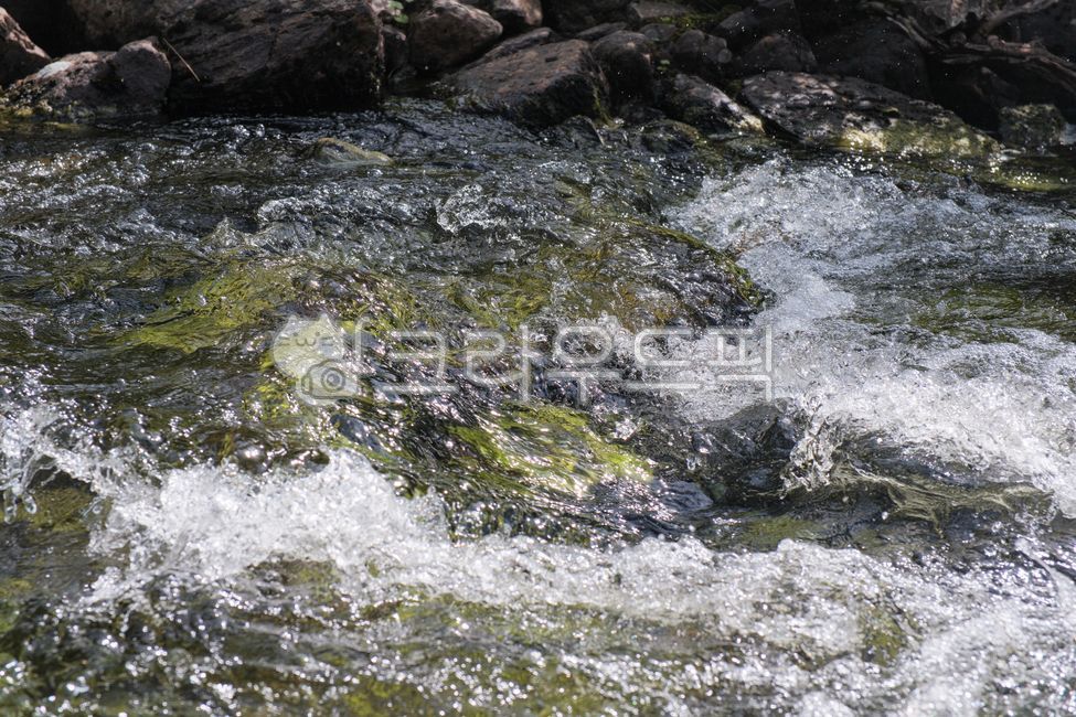 stream,valley,rapids,water spray,cool,summer,Nordic,Sweden,Lapland,Kvikkjokk,Kungsleden,stream,water,closeup,rapid,splash,flow,summer,nordic,scandinavia,sweden,lapland,kvikkjokk,kungsleden,pure,fresh,mountainriver