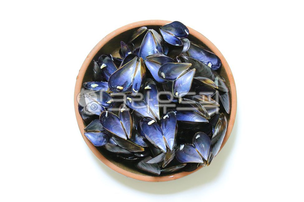 홍합껍질,홍합,껍질,해물,조개,seashell,그릇,자연산홍합,수산물,해산물,식재료,음식재료,요리재료,어패류,웰빙식품,웰빙음식,반찬,먹거리,바다생물,홍합탕,하얀배경,해양생물,무척추동물,많은,바다음식,식품,해물찜,홍합찜,대합,국거리,조개껍질,조개껍데기,껍데기,홍합껍데기,검은색,음식,food,cook,meal,fishery,products,seafood,Black