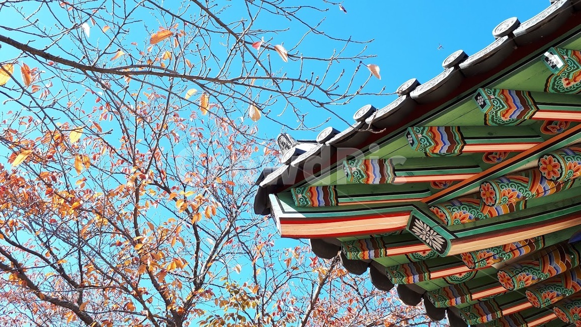 한국,전통,처마,역사,문화재,문양,가을,가을하늘,한국전통,한국문화,korean traditional,korean culture,건축물,건물외관,exterior,building,structure,architecture,construction
