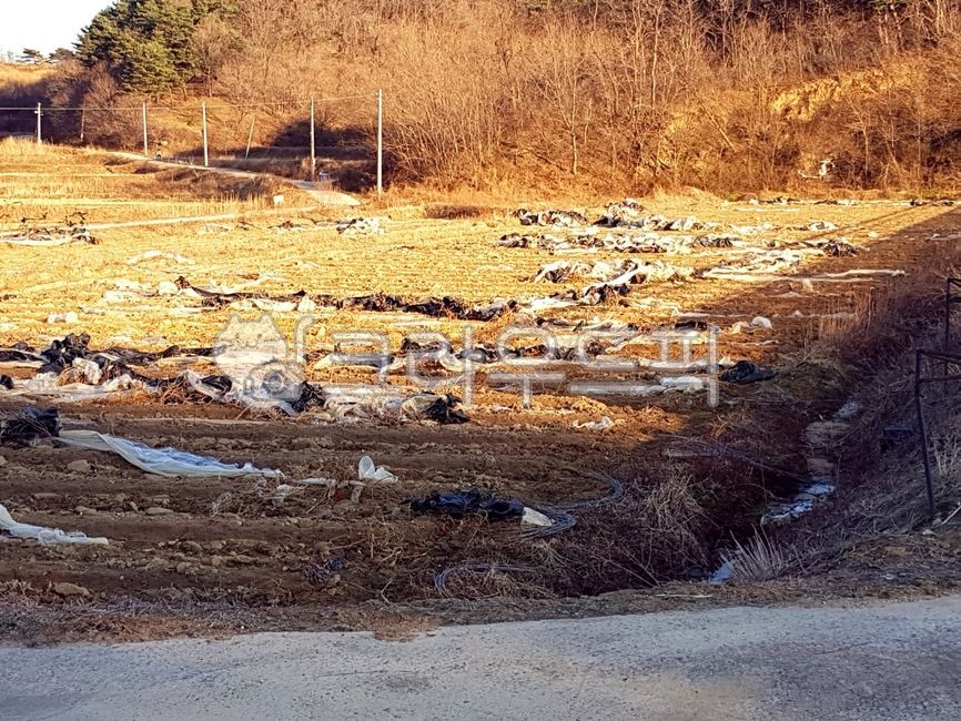 폐비닐,환경보호,농산폐기물,폐기물,자연보호