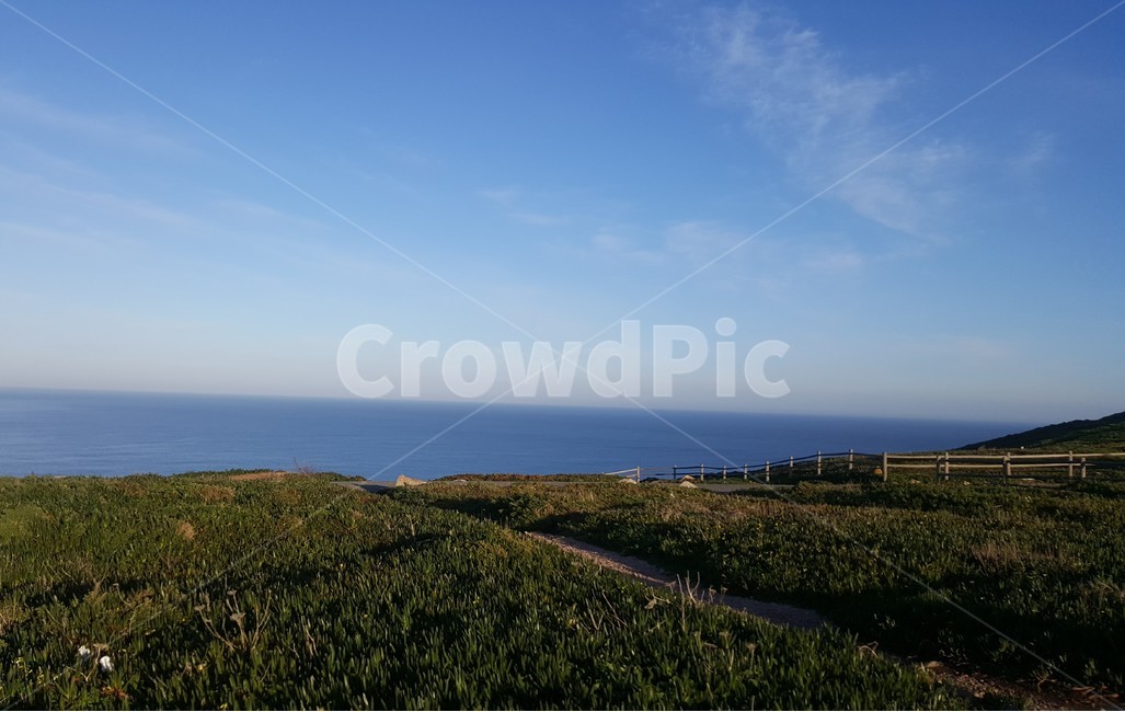 바다,들판,겨울,field,winter,겨울바다,ocean,화창한,맑은,하늘,풍경,구름,cloud,sky,tree,healing,힐링,landscape