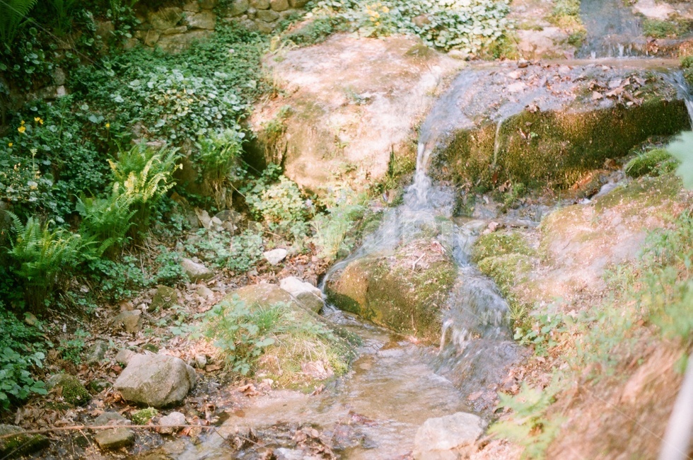 식물원,계곡,시냇물,필름사진,자연,필름,film,자연,풍경,nature,landscape,water,물,outdoors,옥외