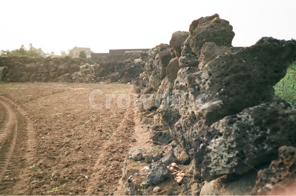 제주도,현무암,필카,필름카메라,제주,자연,풍경,nature,landscape,한국자연풍경,한국자연경관,korea nature landscape,제주도,jeju,jeju island,감성,sensible,feeling,soil,흙,ground,바닥