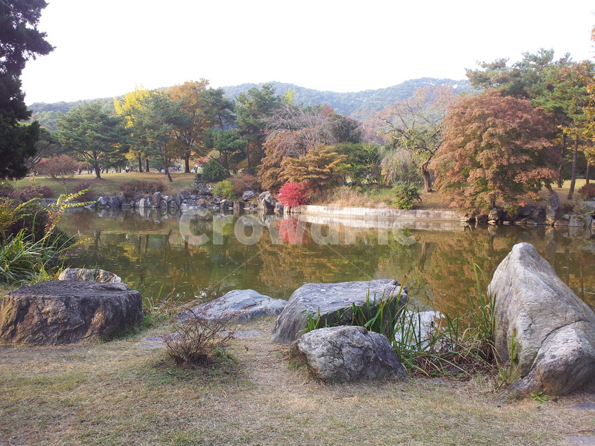 가을,정원,단풍,풍요,색감,가을,계절,fall,autumn,season,자연,풍경,nature,landscape,water,물,outdoors,옥외