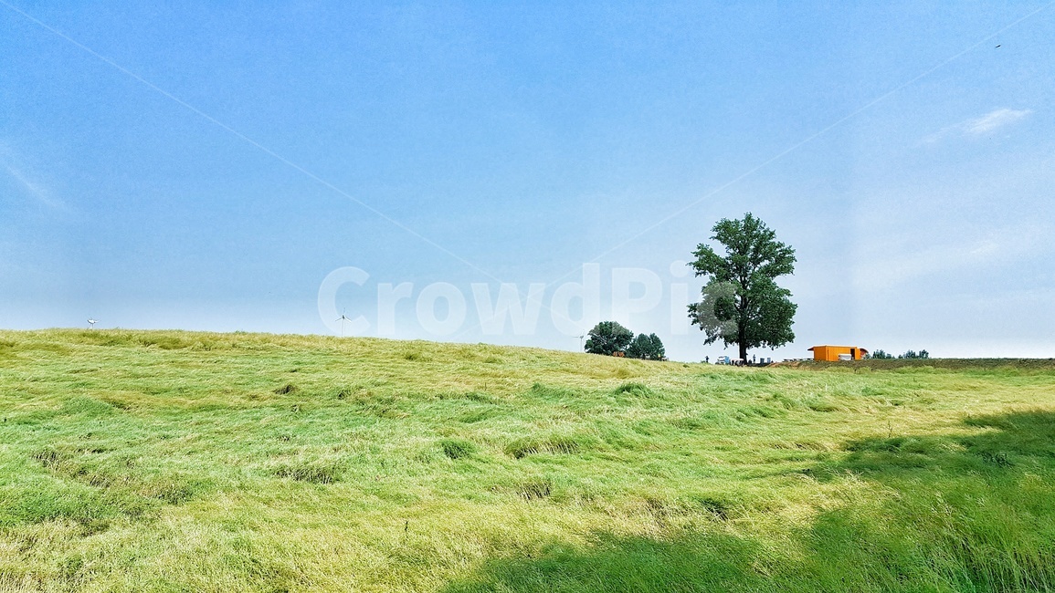 초원,녹색,초록,나무,하늘,언덕,자연,풍경,tree,hill,sky,nature,landscape,유기농,친환경,산소,들판,보리,보리밭,식물