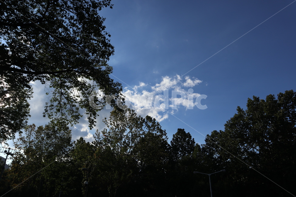 하늘,구름,빛,감성,날씨,자연,weather,outdoors,옥외,nature
