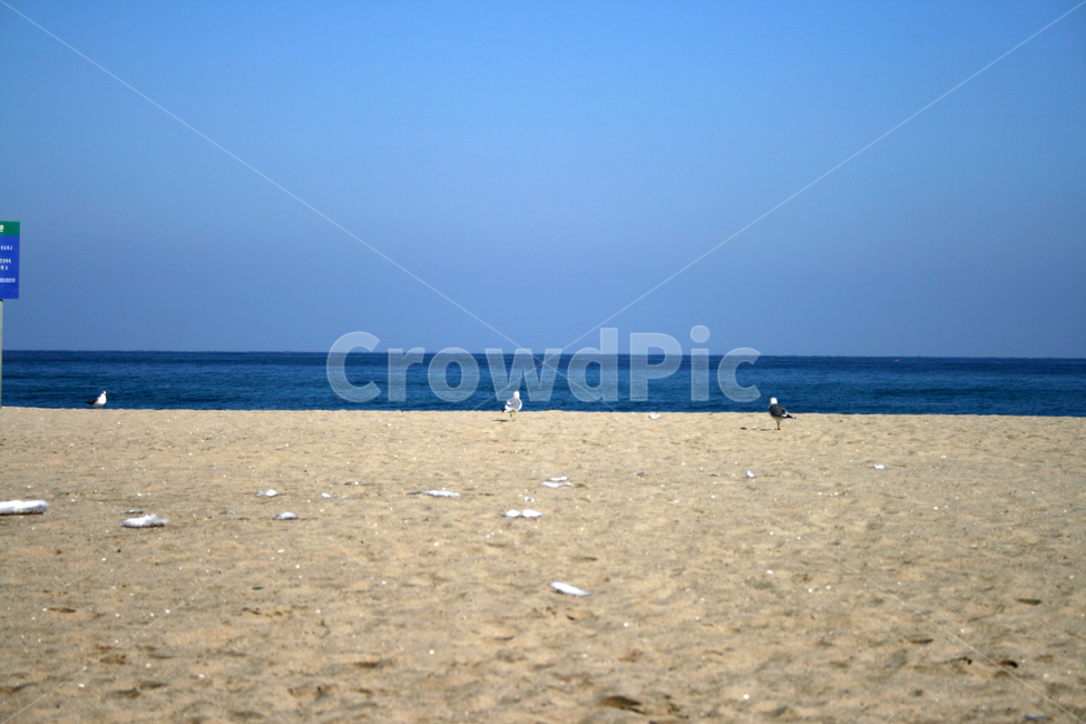 하늘,모래사장,해변,바다,수평선,풍경,자연,풍경,nature,landscape,해변,바다,beach,sea,ocean,대양,water,물,outdoors,옥외