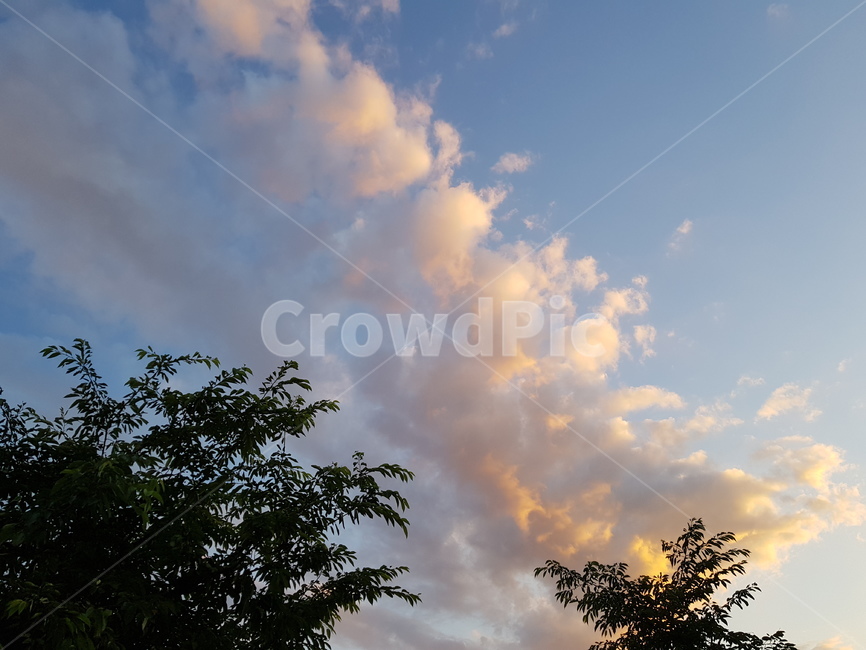 구름,cloud,노을,sunset,나무,tree,하늘,sky,하늘색,파란색