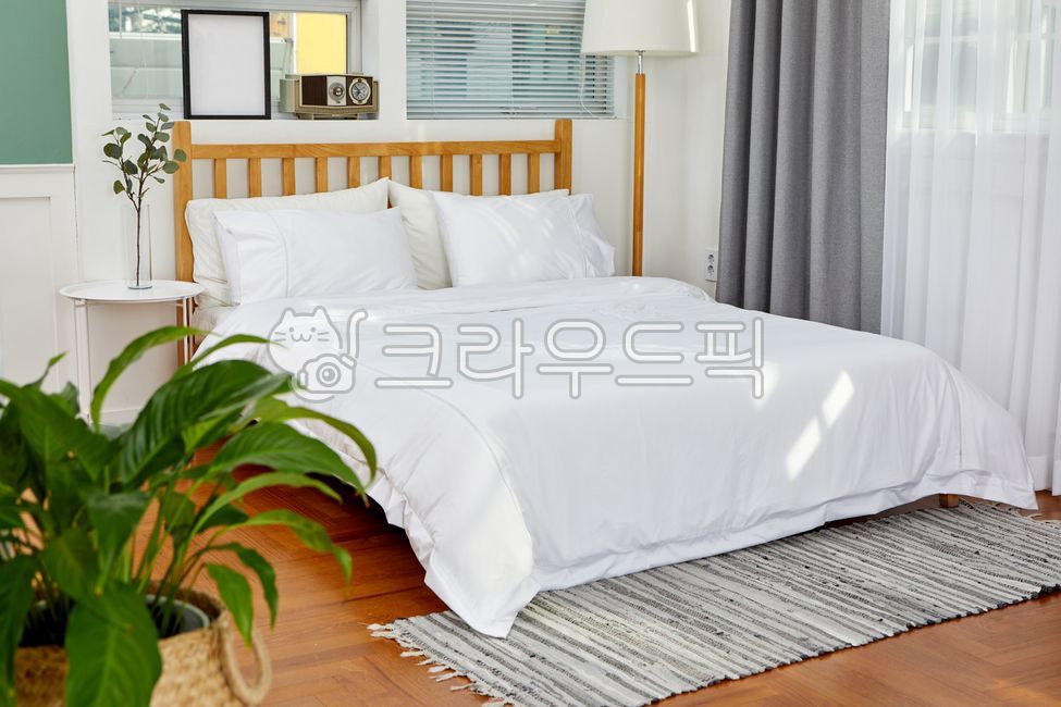 studio,bed,sunshine,woodenbed,inside,furniture,modern architecture,modernarchitecture,tree,It is comfortable,wooden bed,one room,light,comfortable,plant,interiordesign,indoor,curtain,rentalstudio,interior,bedding,pot,living room,Rental Studio,livingroom,i
