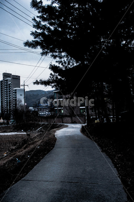 길거리,뒷골목,어두움,dark,landscape,마을,풍경,town,시골,나무,전깃줄,아파트,도시,풍경,city,landscape,한국도시풍경,한국도시경관,korea cityscape,asphalt,아스팔트,road,도로