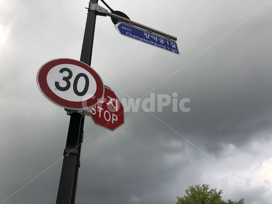 표지판,표지,판,30,창덕궁,정지,stop,교통,교통수단,traffic,transportation
