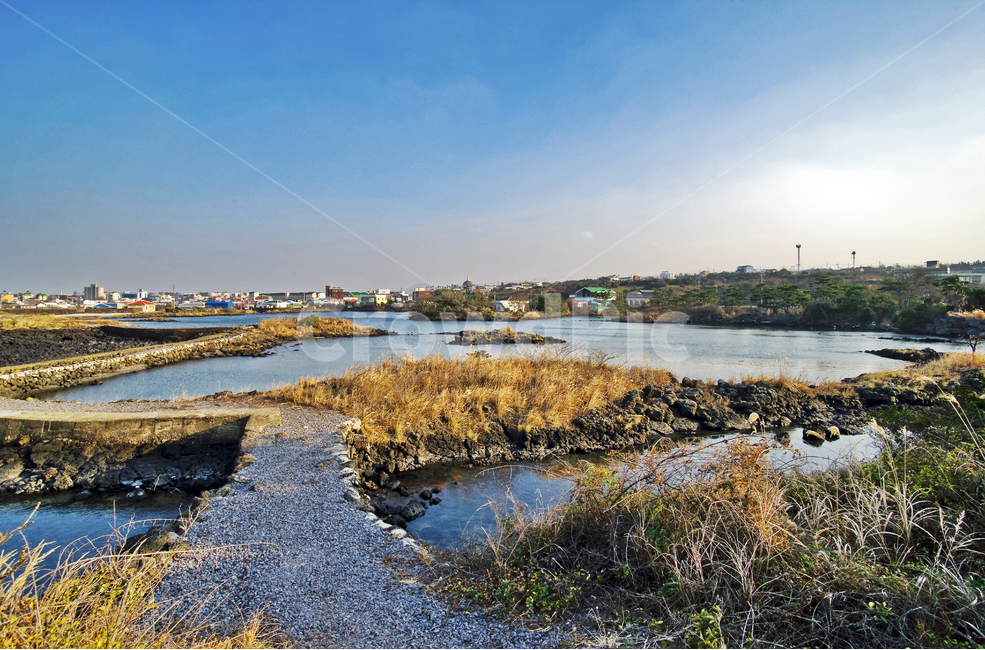 대섬,제주도,절대보전지역,올레코스,철새도래지,야자수올레길,자연,풍경,nature,landscape,한국자연풍경,한국자연경관,korea nature landscape,제주도,jeju,jeju island