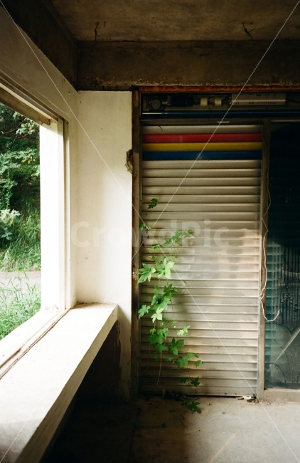 sunlight,abandoned building,light,shutter,storage,film,building,interior